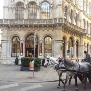 from vienna to lahore of coffee houses and cultural hubs