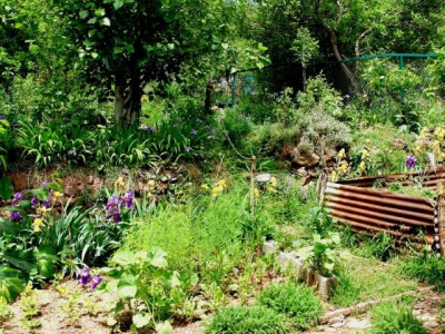 college employee builds his family a home on campus in karachi