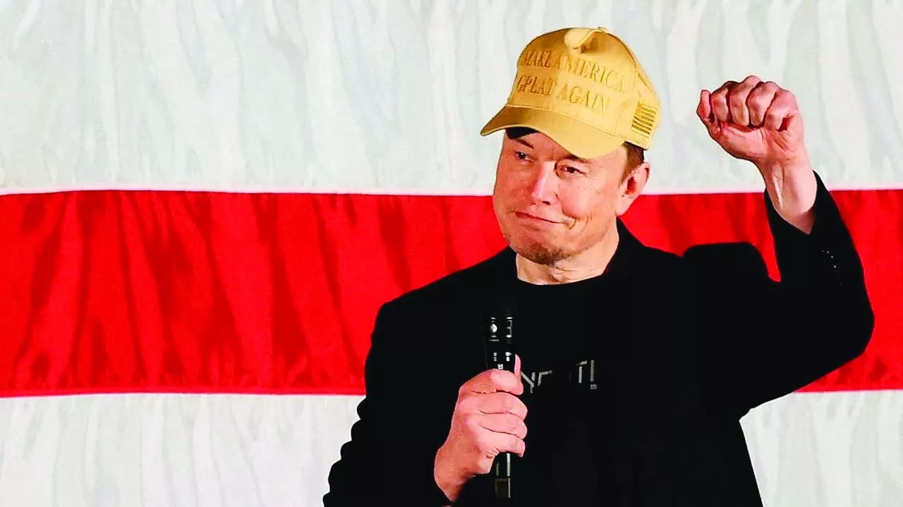 from lizzo to musk star power hits us campaign trail from lizzo to musk star power hits us campaign trail
