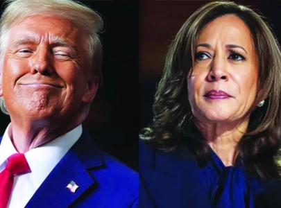 memes musings mayhem social media reacts to us election