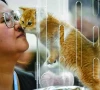 china s pet industry takes off in ailing economy china s pet industry takes off in ailing economy