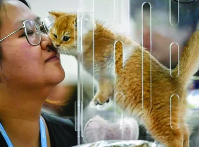 china s pet industry takes off in ailing economy china s pet industry takes off in ailing economy