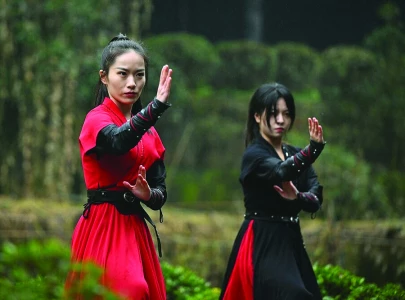 women fighters upgrade upgrade ancient chinese art women fighters upgrade upgrade ancient chinese art