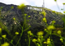 hollywood requests trump to implement tax incentive hollywood requests trump to implement tax incentive