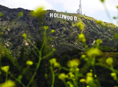 hollywood requests trump to implement tax incentive hollywood requests trump to implement tax incentive