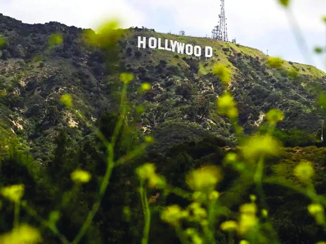 the letter was signed by hollywood unions and studios photo the letter was signed by hollywood unions and studios photo