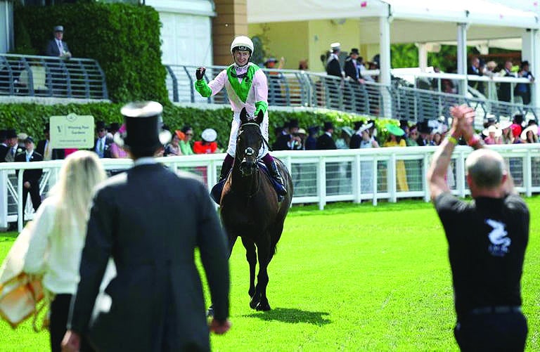 Buyers bidding big for Royal Ascot runners at Goffs Sale | The Express Tribune