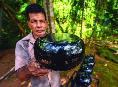 sri lanka s sacred alms bowl faces modern crisis