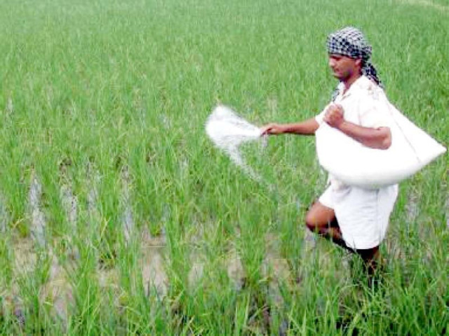 the present price of urea bag is rs1 615 and the imported price is rs2 575 the difference of rs960 will be paid by the government in subsidy photo reuters the present price of urea bag is rs1 615 and the imported price is rs2 575 the difference of rs960 will be paid by the government in subsidy photo reuters