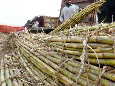 punjab assures farmers of support punjab assures farmers of support