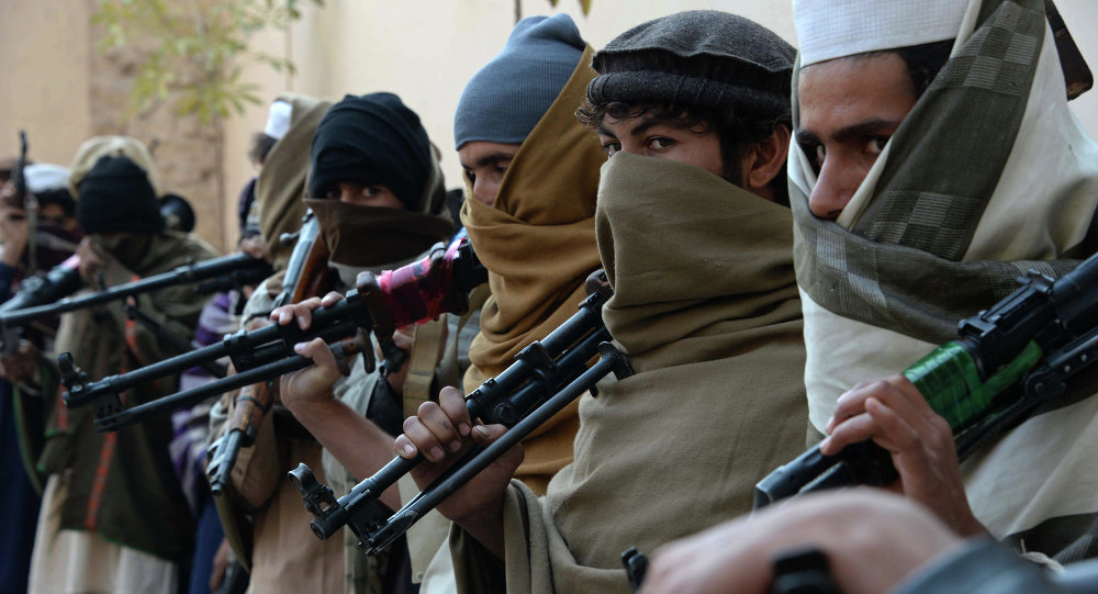 taliban to form a delegation possible prisoner swap also looms large photo courtesy sputnik international