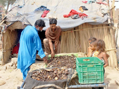 necessity breeds invention preserving meat in nomadic way