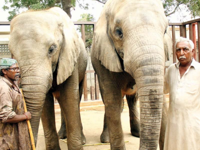 there are currently 20 zookeepers to look after the hygiene sanitary and dietary requirements of around 850 animals housed in the zoo almost as many posts for zookeepers have been lying vacant for some time photos athar khan express there are currently 20 zookeepers to look after the hygiene sanitary and dietary requirements of around 850 animals housed in the zoo almost as many posts for zookeepers have been lying vacant for some time photos athar khan express