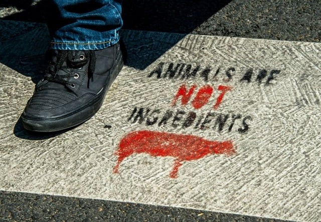 nine businesses in lille and areas surrounding the city including a cheese shop and a mcdonald 039 s were targeted between may and august their windows broken and anti meat slogans painted on walls photo afp