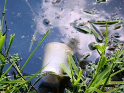 sialkot residents vulnerable to water borne diseases sialkot residents vulnerable to water borne diseases