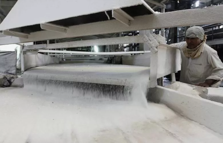 insist bagasse based power plants will help save 131m in fuel cost annually photo reuters insist bagasse based power plants will help save 131m in fuel cost annually photo reuters