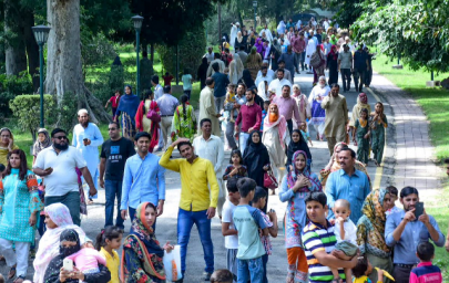 following the agenda