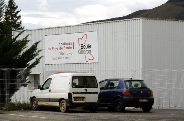 outrage over footage showing animal cruelty at a slaughterhouse in the southwestern town of mauleon licharre prompted inspections across france photo afp file