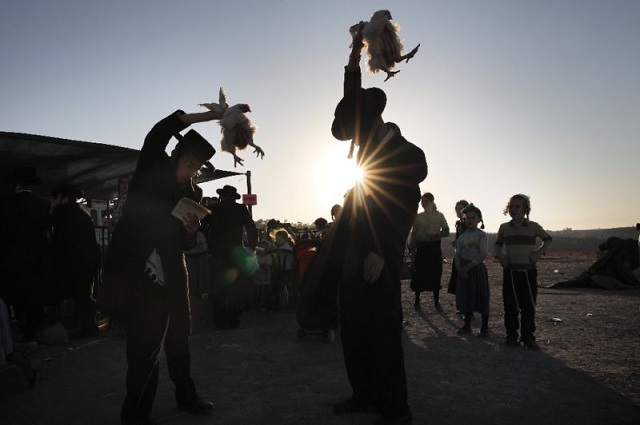 ultra orthodox jewish men swing chicken over their heads as they perform the kaparot ceremony in 2017 photo afp file