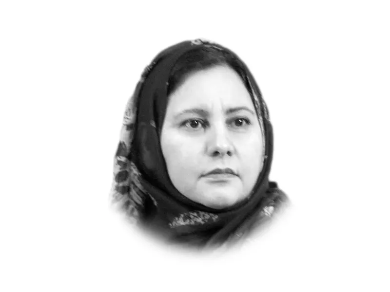 the writer is a geopolitical analyst she also writes at globaltab net and tweets aneelashahzad the writer is a geopolitical analyst she also writes at globaltab net and tweets aneelashahzad