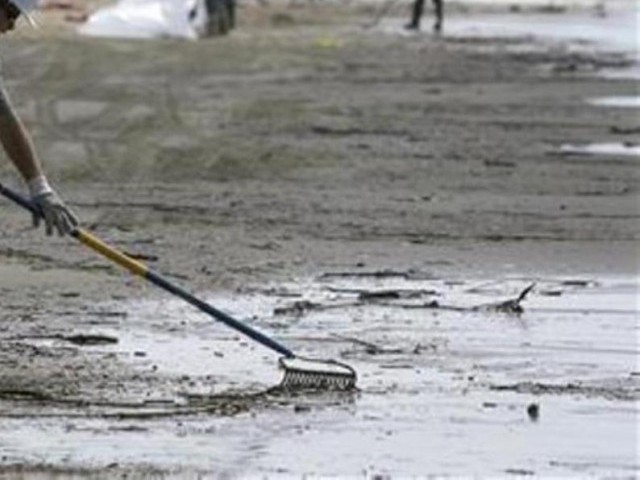 more than 13 million people from 155 countries joined forces to collect man made non degradable trash photo reuters