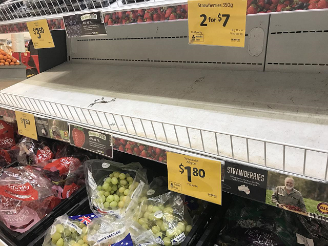 empty shelves normally stocked with strawberry punnets are seen at a coles supermarket in brisbane australia september 14 2018 photo reuters