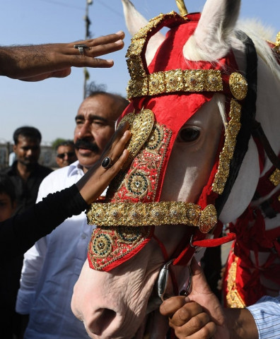 shia muslims touch a horse symbolising the one used by hazrat imam hussain ra in karachi on september 20 2018 photo afp shia muslims touch a horse symbolising the one used by hazrat imam hussain ra in karachi on september 20 2018 photo afp
