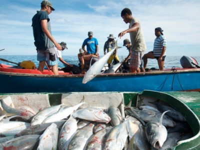 essential to use cages at fisheries says assistant director essential to use cages at fisheries says assistant director
