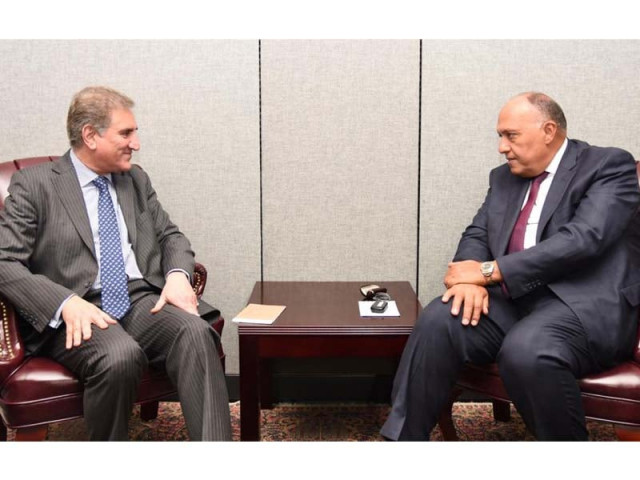 fm qureshi his egyptian counterpart meet on the sidelines of unga photo express fm qureshi his egyptian counterpart meet on the sidelines of unga photo express
