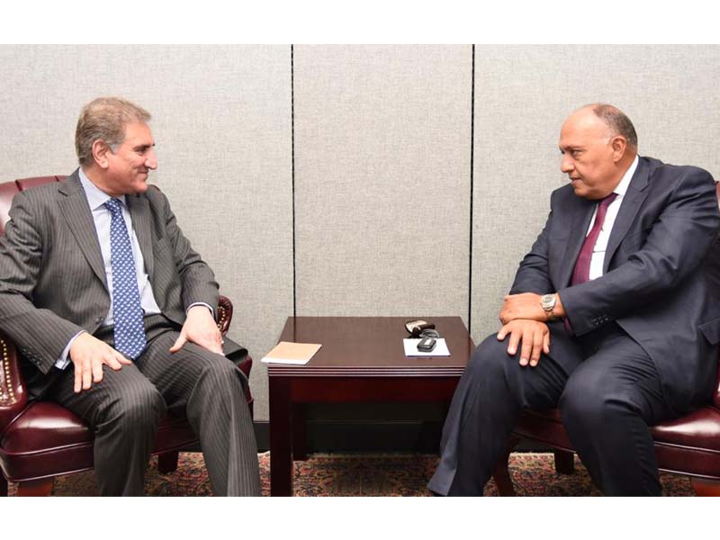 fm qureshi his egyptian counterpart meet on the sidelines of unga photo express