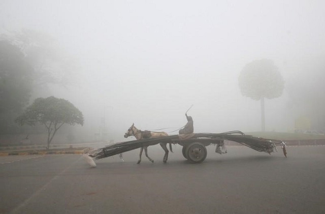 a man rides a donkey drawn cart supplying steel rods on a smoggy morning in lahore pakistan photo reuters