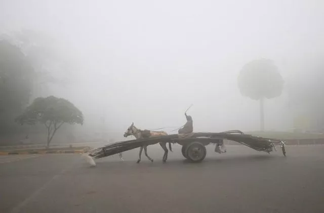 a man rides a donkey drawn cart supplying steel rods on a smoggy morning in lahore pakistan photo reuters a man rides a donkey drawn cart supplying steel rods on a smoggy morning in lahore pakistan photo reuters