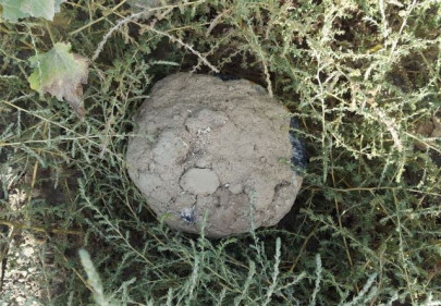 security personnel martyred school blown up in k p districts ied attacks security personnel martyred school blown up in k p districts ied attacks