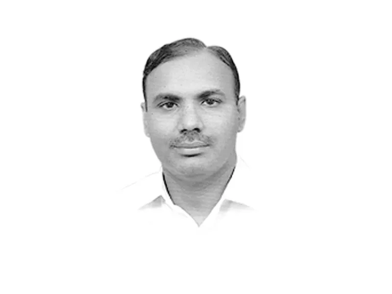 the writer is a development professional the writer is a development professional