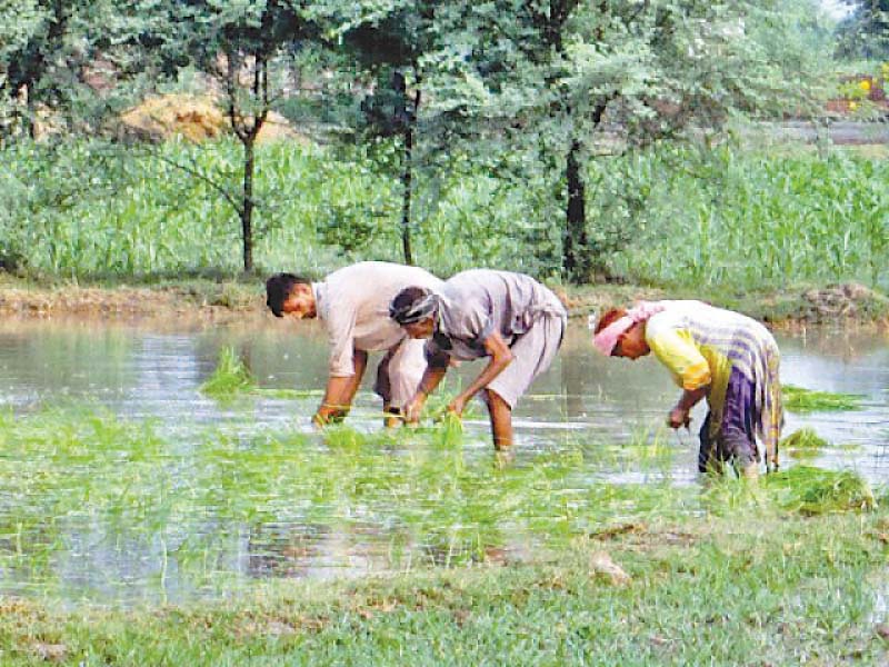 committee members asked provinces to adopt better management techniques in order to utilise the available resources photo file