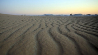 family pardons man who killed buried aunt in uae desert family pardons man who killed buried aunt in uae desert