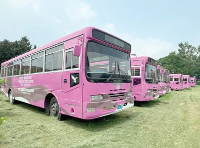 pink buses now operational na panel told