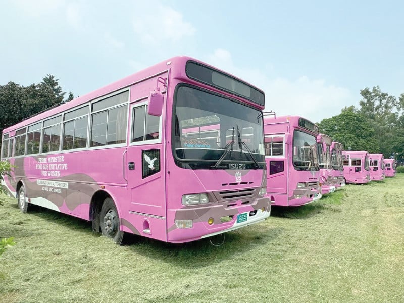several pink buses are ready to hit the roads of the federal capital on august 7 photo express