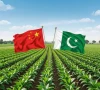 pakistan to double farm exports by 2035
