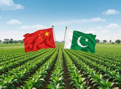 pakistan to double farm exports by 2035