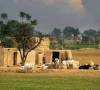 village security system revived in punjab