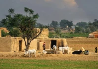 village security system revived in punjab