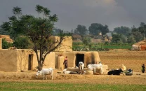 village security system revived in punjab