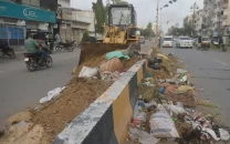 karachi stinks as offal lingers a week after eid