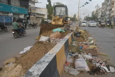 karachi stinks as offal lingers a week after eid