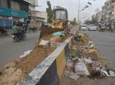 karachi stinks as offal lingers a week after eid
