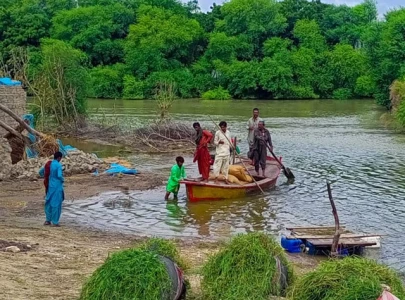 no flood camps despite monsoon threat