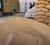 punjab sindh seek urgent wheat punjab sindh seek urgent wheat