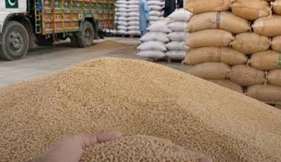 punjab sindh seek urgent wheat