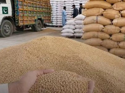 punjab sindh seek urgent wheat punjab sindh seek urgent wheat